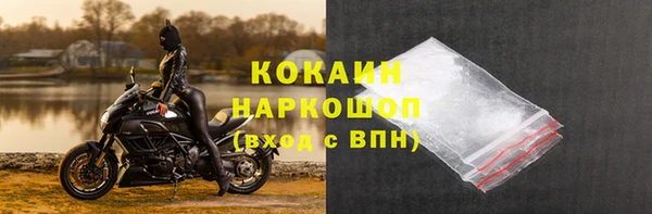 дживик Богородицк
