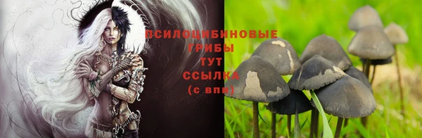 марки lsd Ростов