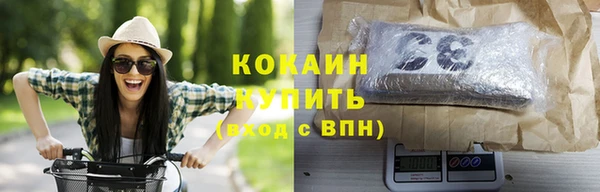 дживик Богородицк