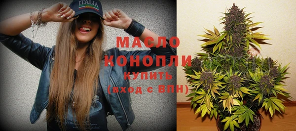 дживик Богородицк