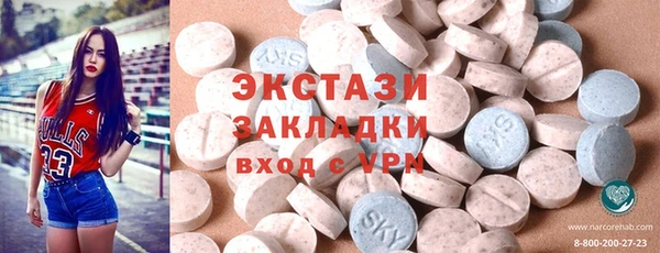 дживик Богородицк