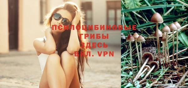 дживик Богородицк