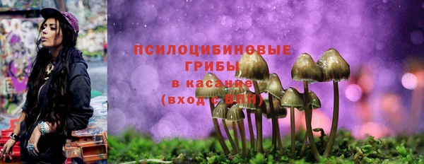 первитин Богородск