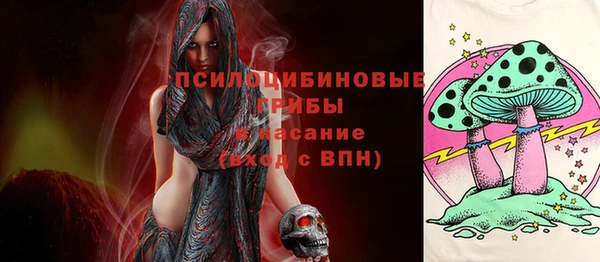дживик Богородицк